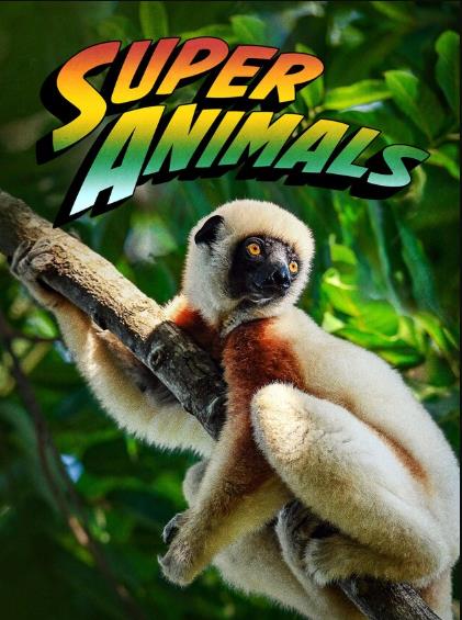 Super Animals